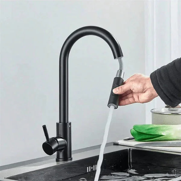 Torneira cozinha DuoFlex Preto